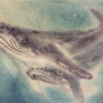 こまゆき様　ギャラリー用